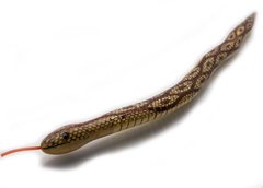 Змея деревянная (50 см), K32323 - фото товара
