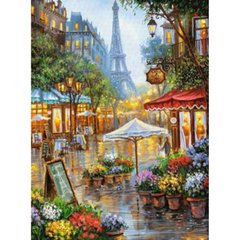 Розмальовка за номерами на дереві 40*50 J.Otten "Париж" (карт.уп фарби+пензлі), K2745865OO3376RAD - фото товару