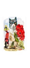 Раскраска по номерам 20*30см J.Otten "Кот с цветами" OPP (холст на раме краски+кисти), K2750501OO2152RAS - фото товару