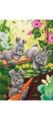 Раскраска по номерам 20*30см J.Otten "Кролики" OPP (холст на раме краски+кисти), K2750473OO2124RAS - фото товару