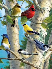 Розмальовка по номерах 30 * 40см "Пташки на дереві" OPP (полотно на рамі фарби. Кисті.), K2748574OO1221EKTL_O - фото товару