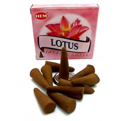 Lotus (Лотос) (Hem) конуси, K334616 - фото товару