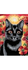 Раскраска по номерам 20*30см J.Otten "Черная кошка" OPP (холст на раме краски+кисти), K2752058OO20E - фото товара