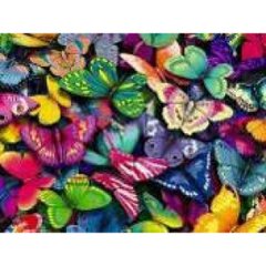 Алмазна мозаїка 30*40см "Метелики" рулон у PVC (без підрам), K2755036OO60810_ - фото товару