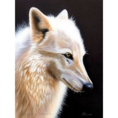 Раскраска по номерам 30*40см "Белый волк" OPP (холст на раме краски+кисти), K2748550OO1158EKTL_O - фото товару
