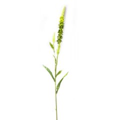 Квітка "Аліссум" (89 см), K326380 - фото товару