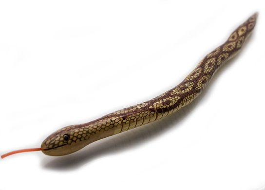 Змія дерев'яна (50 см), K32323 - фото товару