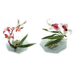Квітка орхідеї на скляній підставці (d-18,5 см), K318792 - фото товару