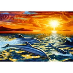 Раскраска по номерам 40*50см J.Otten "Дельфины" карт.уп (холст на раме краски+кисти), K2749576OO6138OTG_B - фото товару