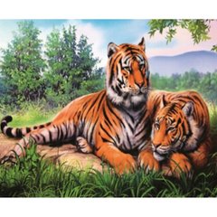 Раскраска по номерам 30*40см "Тигры" OPP (холст на раме краски+кисти), K2748715OO1673EKTL_O - фото товару