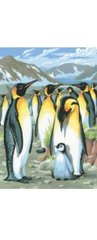 Раскраска по номерам 20*30см J.Otten "Пингвины" OPP (холст на раме краски+кисти), K2752089OO11E - фото товару