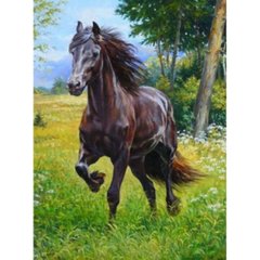 Раскраска по номерам 30*40см "Лошадь" OPP (холст на раме краски+кисти), K2748723OO1709EKTL_O - фото товару