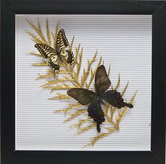 Метелики в рамці "На листі" (30,5х30,5х3,5 см)(X06), K326056 - фото товару