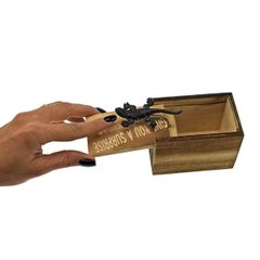 Саламандра в коробке (9,5х6х6,5 см), K334197B - фото товару