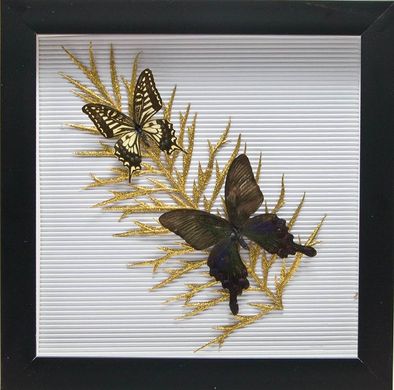 Бабочки в рамке "На листе" (30,5х30,5х3,5 см)(X06), K326056 - фото товара