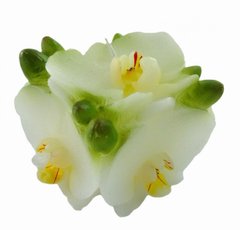 Свічка "Орхідеї" квадрат, K89060103O362833426 - фото товару