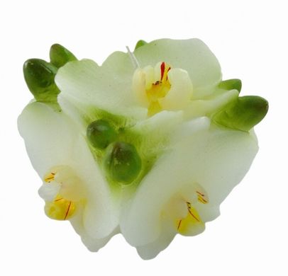 Свеча "Орхидеи" квадрат, K89060103O362833426 - фото товара