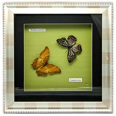 Метелики в рамці (30х30х3,5 см)(X03-3), K323843 - фото товару