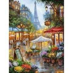 Алмазная мозаика по номерам 30*40 "Улицы Парижа" карт уп. (полотно на раме), K2754559OO61442_BGLD - фото товара