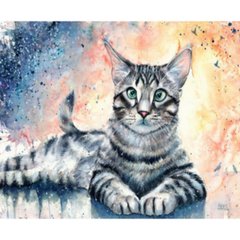 Раскраска по номерам 30*40см "Кошка" OPP (холст на раме краски+кисти), K2748603OO1306EKTL_O - фото товару