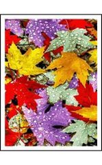 Розмальовка за номерами на дереві 40*50 J.Otten "Осіннє листя" (карт.уп фарби+кисті), K2751079OO5209RAD - фото товару