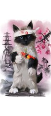 Раскраска по номерам 20*30см J.Otten "Кот самурай" OPP (холст на раме краски+кисти), K2750502OO2166RAS - фото товару