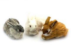Кролик (натуральне хутро)(13х9х6 см), K323271 - фото товару