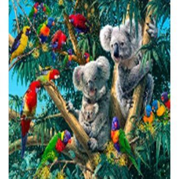 Алмазная мозаика по номерам 40*50 "Коалы" карт уп. (полотно на раме), K2755603OO71963_BGLE - фото товара