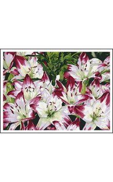 Раскраска по номерам на дереве 40*50 J.Otten "Цветы" (карт.уп краски+кисти), K2751087OO5165RAD - фото товара