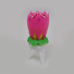 Свічки для торта "Flower" музична, що обертається Суперціна!, K2730789OO182 - фото товару