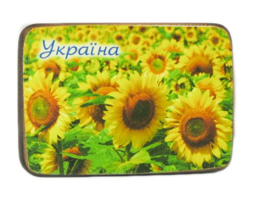 Магнит "Украинская тематика", M21.21-015 - фото товара