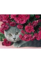 Раскраска по номерам 30*40см "Кошка в цветах" OPP (холст на раме краски+кисти), K2748636OO1415EKTL_O - фото товару
