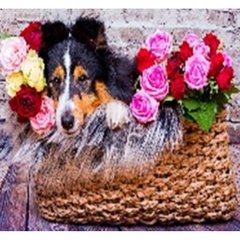 Алмазна мозаїка за номерами 40*50 "Собака з квітами" карт уп. (полотно на рамі), K2755240OO70853_BGLE - фото товару