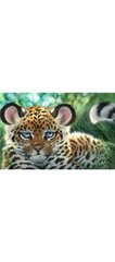 Раскраска по номерам 20*30см J.Otten "Маленький ягуар" OPPхолст на раме с крас.кисти), K2750516OO2181RAS - фото товара