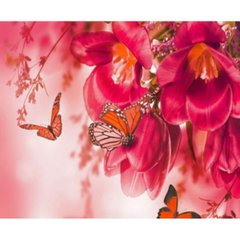 Раскраска по номерам 30*40см "Бабочки на цветах" OPP (холст на раме краски+кисти), K2748638OO1421EKTL_O - фото товару