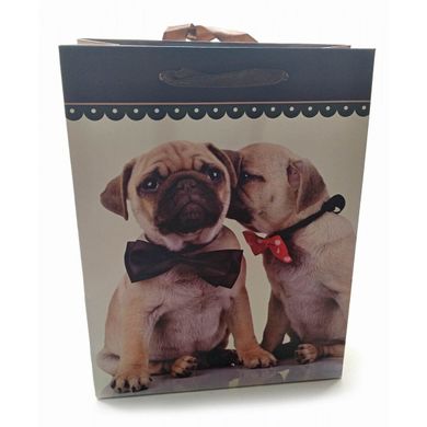 Пакет подарочный картонный "Кошки и Собаки" (18х23х8 см), K332154 - фото товара