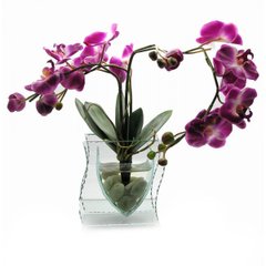 Орхідея в склі (35х21х8,5 см), K318788 - фото товару