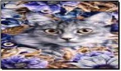 Алмазная мозаика по номерам 20*30 "Кошка" в рулоне, K2751128OO20555JS_ - фото товару