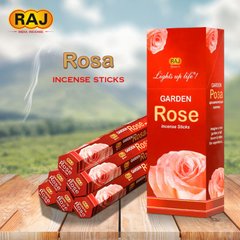 RAJ GARDEN ROSE (шестигранник) Садова троянда, K89130000O1849175982 - фото товару