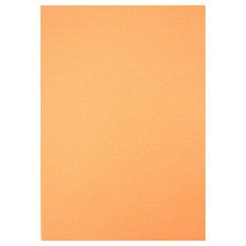Фетр HARD 170GSM 1,2 мм "Темно-бежевий" 10PC/OPP A4, 1 шт/етик., K2748881OO170HQ043_ - фото товару