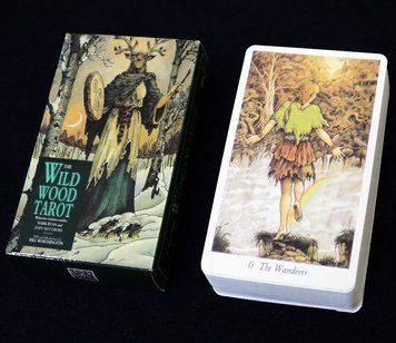 Карти Таро Дикого Лісу (The Wild Wood Tarot), K89420189O2711681560 - фото товару