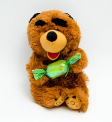 М'яка іграшка озвучена ведмідь з цукеркою №2119-20, №2119-20 - фото товару