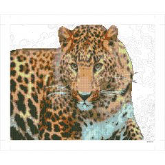 Картина по номерам + Діамант 9D 40*50 "Леопард" карт. уп., K2755680OO9D90558 - фото товару