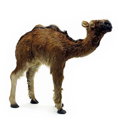 Верблюд (из кожи и меха) (12"), K318690 - фото товара