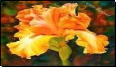 Алмазная мозаика по номерам 30*40 "Оранжевый цветок" в рулоне, K2751498OO72698GB - фото товара