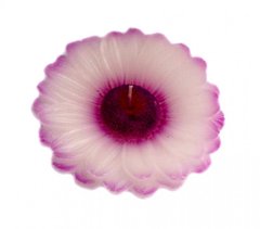 Свічка - квітка "Фіолетова маргаритка", K89060115O362833400 - фото товару