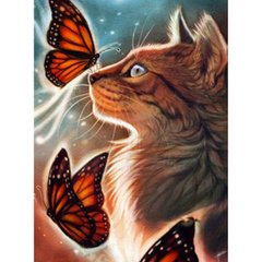 Раскраска по номерам 30*40см "Кошка с бабочками" OPP (холст на раме краски+кисти), K2748545OO1151EKTL_O - фото товару